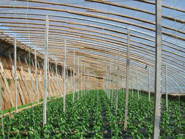 工業(yè)暖風機在溫室大棚的應(yīng)用